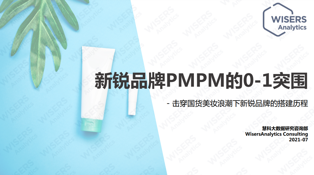 新锐品牌0-1搭建-PMPM研究报告